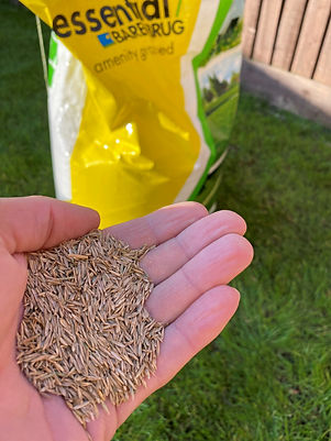 Seed hand_edited.jpg