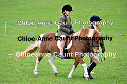 watermarkDSC_0570