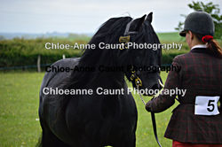 watermarkDSC_0198