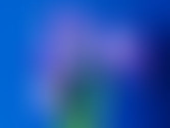 Open Competition 2017 Winners