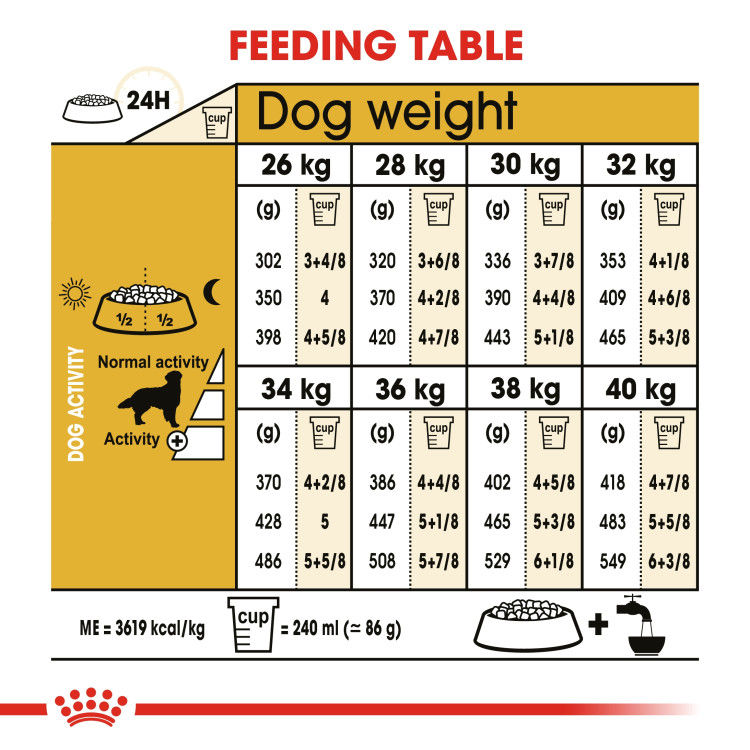 Thumbnail: Breed Health Nutrition Golden Retriever Adult 12kg