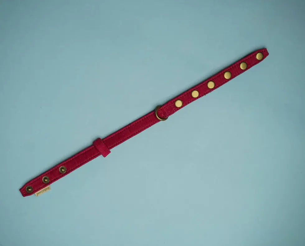 Thumbnail: Indie Good Collar For Cat - Red