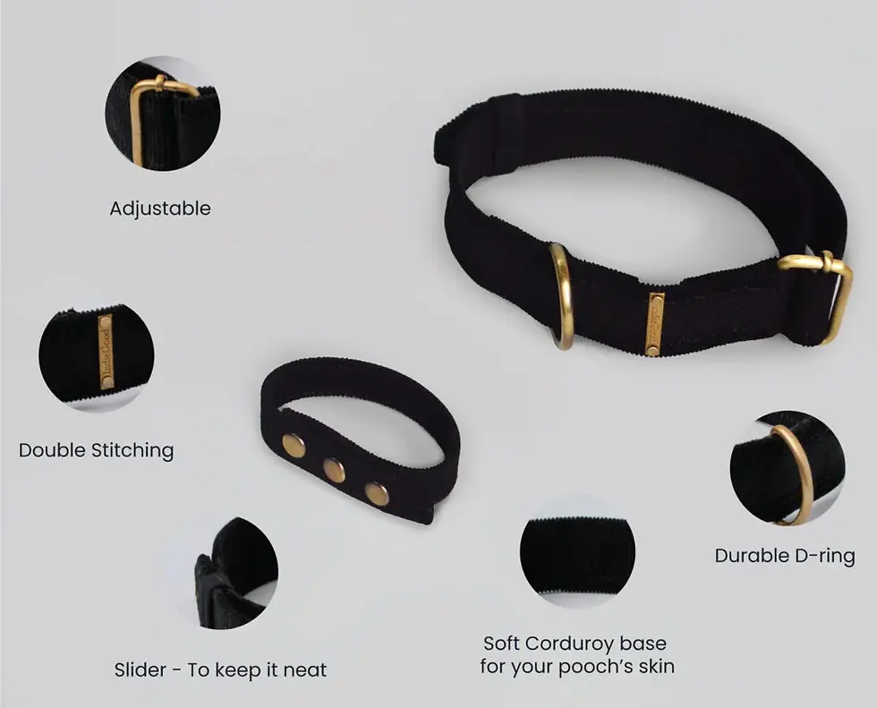 Thumbnail: Corduroy Dog Collar Black