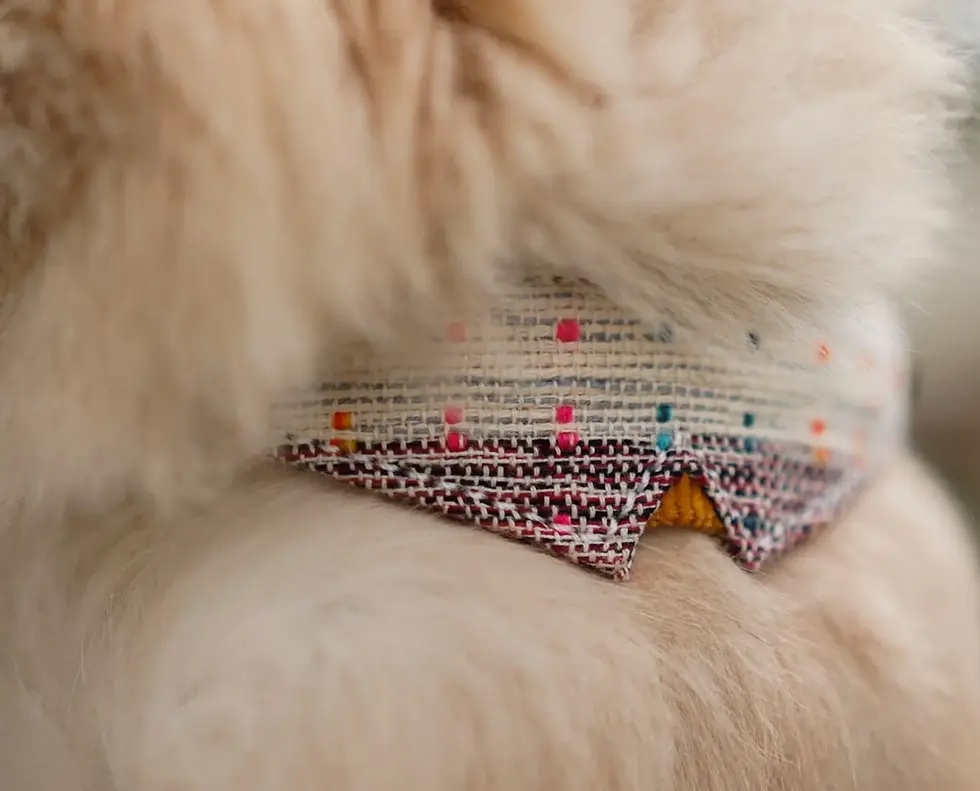 Thumbnail: Indie Good Handloom Collar For Cat - beach brown
