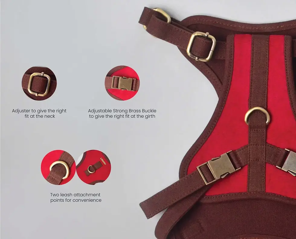 Thumbnail: Corduroy Cotton and Canvas C Harness for Dog