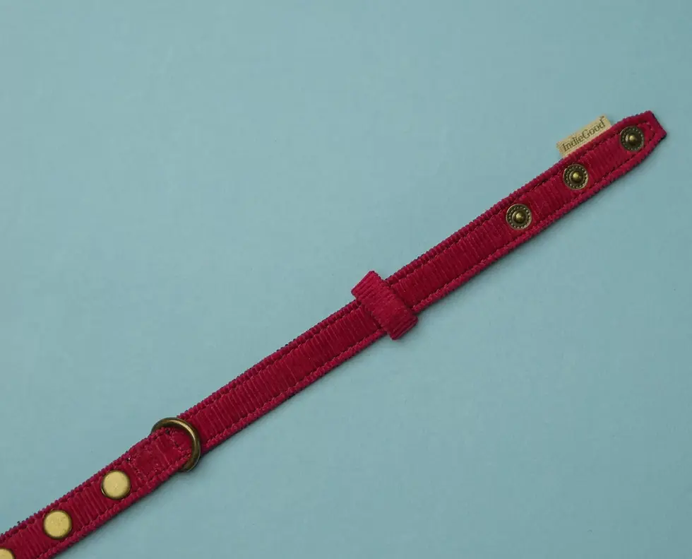 Thumbnail: Indie Good Collar For Cat - Red