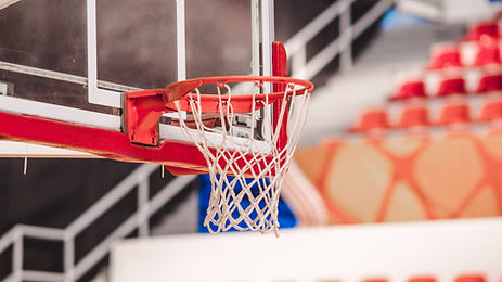 Basketball Ring_edited.jpg