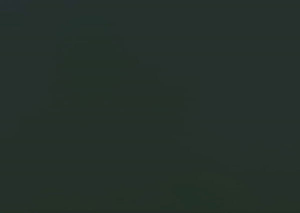 PieChart1Loop.gif