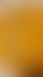 Testati e rivisitati "Il risotto alla zucca e le sue var