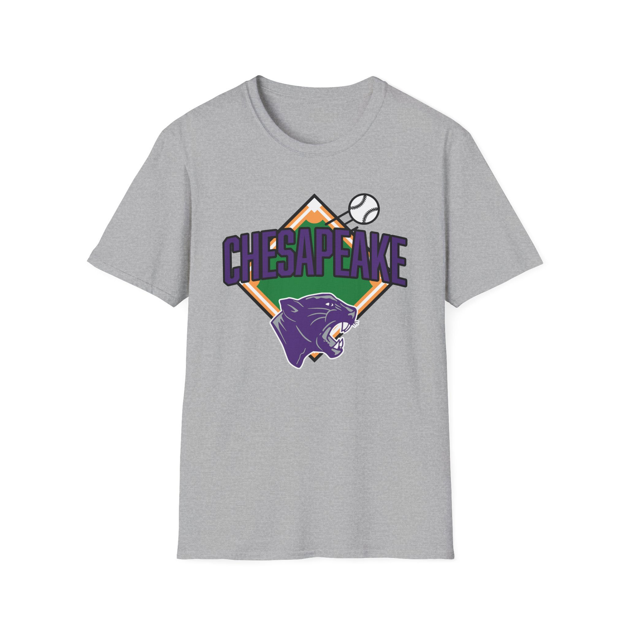 Chesapeake 90's Baseball Diamond Softstyle T-Shirt