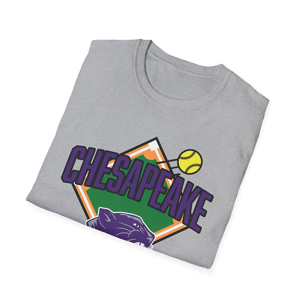 Thumbnail: Chesapeake 90's Softball Diamond Softstyle T-Shirt