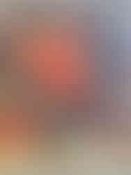 As a 1st team All-Ohio linebacker, Arden is shown making a tackle during a game as a Fighting Tiger.