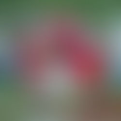 Week 9 Previews: Vikings, Titans still have a lot to play for