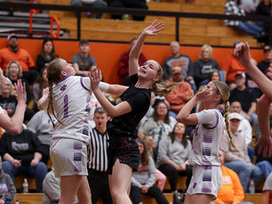 Lady Panthers fall to Lady Senators in district semifinals