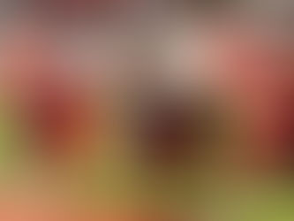 Where to watch/listen to area high school football games for week 11