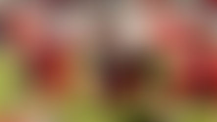 Where to watch/listen to area high school football games for week 11