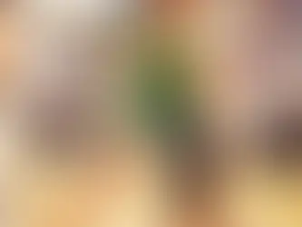 Green downs Flyers, clinches share of SOC title