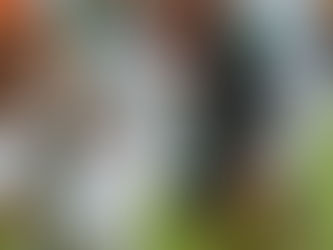 Pirates end Shamrocks luck in postseason for 4th-straight time