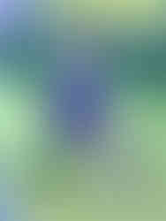 Photo by Jeremy Holtzapfel