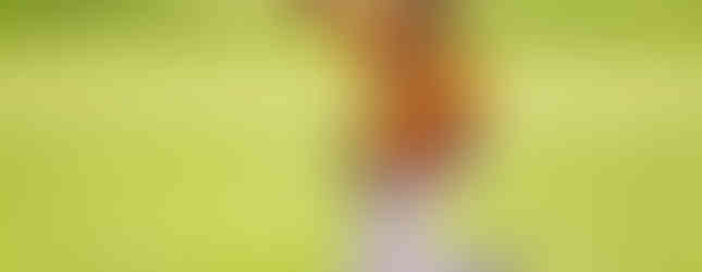 Portsmouth Clay at Saint Joseph - HS Baseball (Photo by Jeremy Holtzapfel)