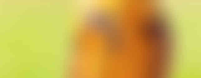 Portsmouth Clay at Saint Joseph - HS Baseball (Photo by Jeremy Holtzapfel)