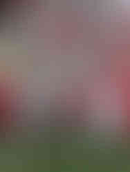 Rutgers at Ohio State - College Football (Photo by Brian Mayhew)