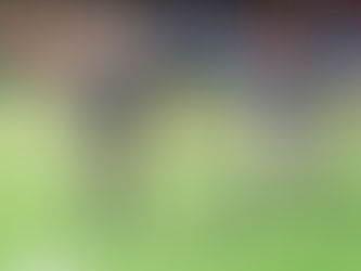 Harvest Prep edges Fighting Tigers in regional semis