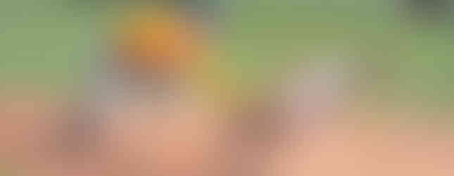 Clay at Green - HS Baseball (Photo by Michael Vermillion)