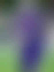 Photo by Jeremy Holtzapfel