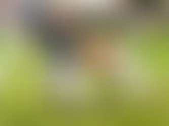 An early look at the contenders in Division 5, Region 19