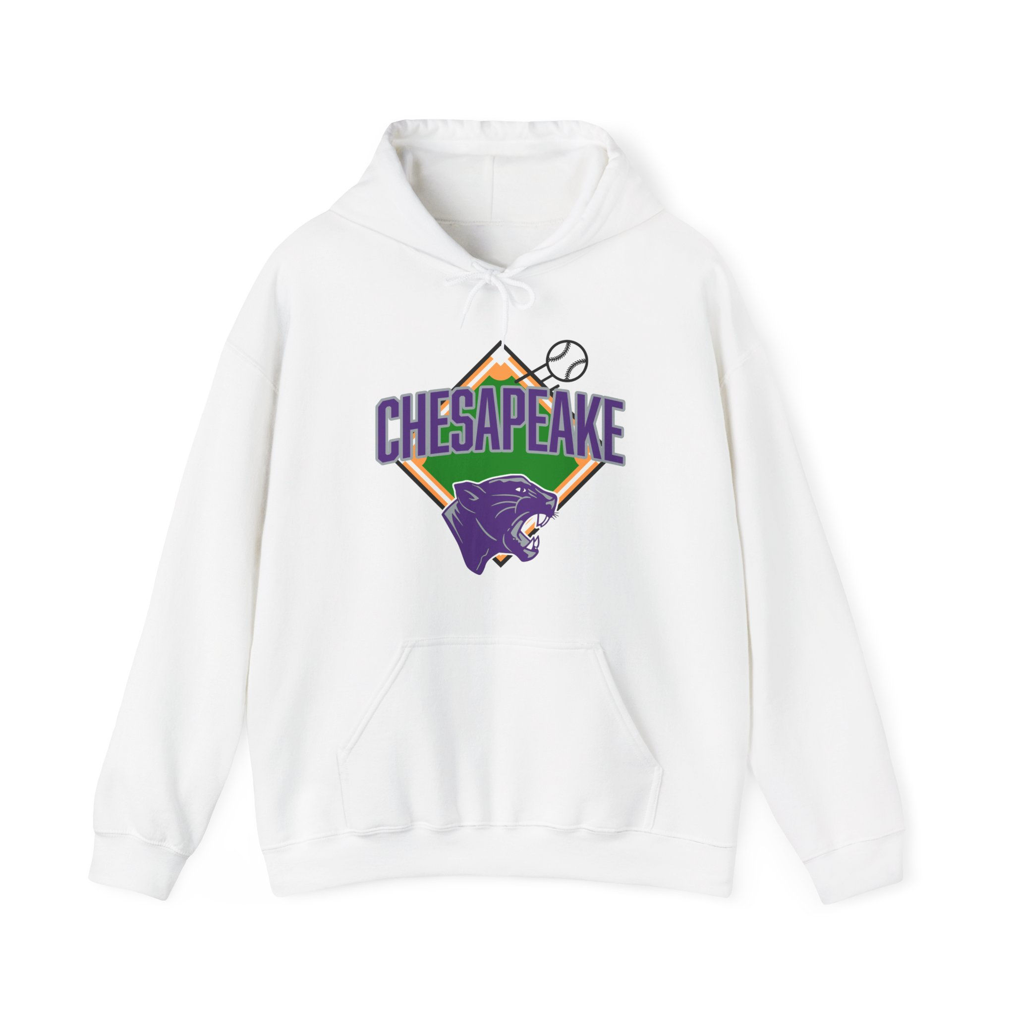 Chesapeake 90's Baseball Diamond Hoodie