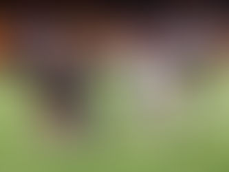 Where to watch/listen to area high school football games for week 7