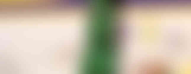 Green at Saint Joseph - Boys Basketball (Photo by Josh Wilson)