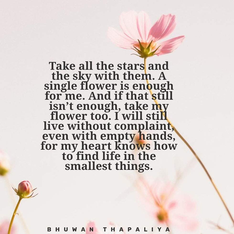 Continuous Transformation 🦋