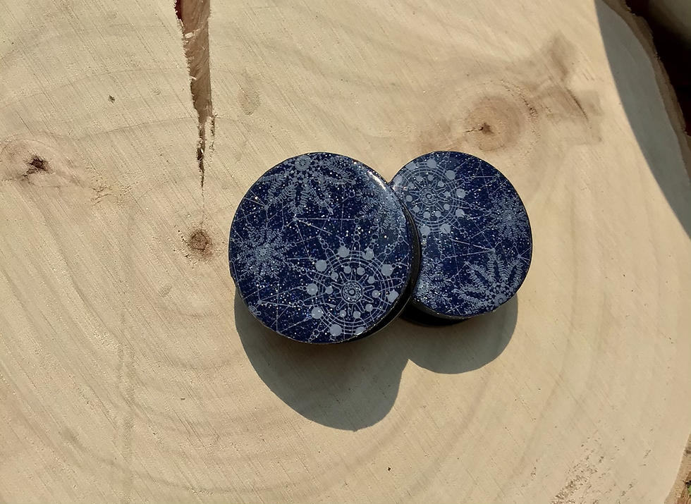 Thumbnail: Handcrafted Celestial Plugs - 1” (25mm)