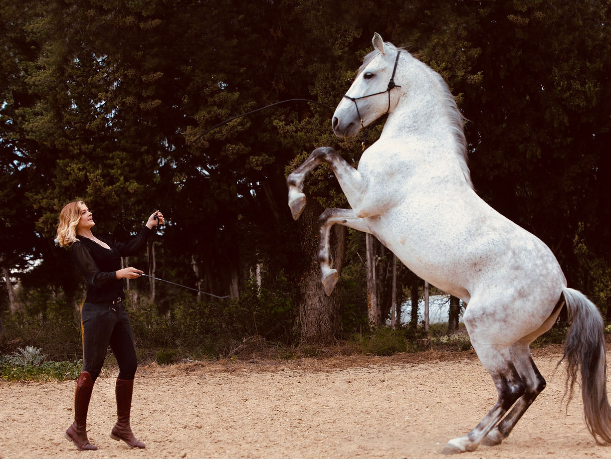 Marie Bäumer mit Pferd Atelier Escapade