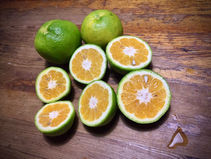 Quarantine Story: I thought I had a lime tree