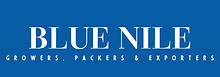 Blue Nile.jpeg