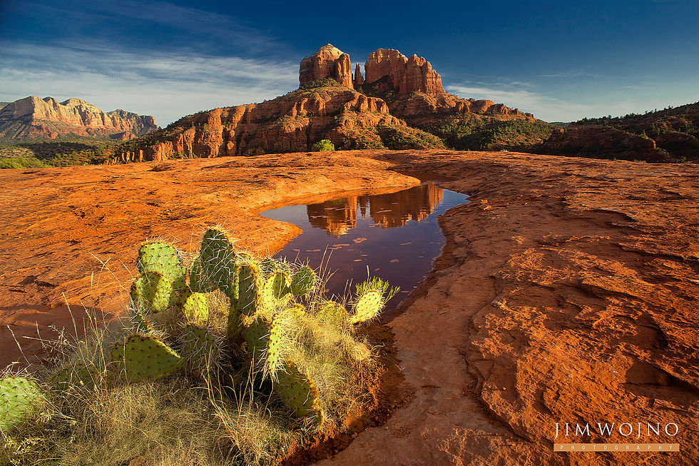 Cathedral Rock, Sedona