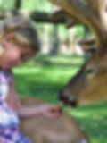 Girl in patterned dress feeds deer in sunny park, smiling joyfully. Lush green grass and blurry trees in the background.