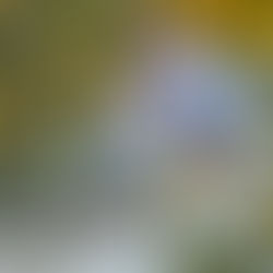 Best Wisconsin Dells Activities (If You Don’t Want a Water Park)