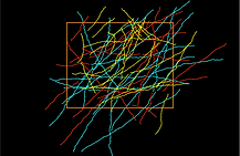 Ethan Hughes Lab | In vivo imaging of CNS myelin sheaths in cortex