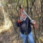 Prescott Day of Service: Bust Some Buckthorn
