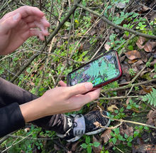 PlantSurvey3-phone-ID.jpg