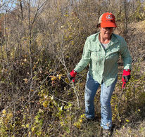 Buckthorn-Oct2022-Veronica.jpg
