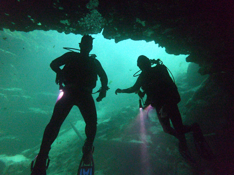 A pair of divers inspect a reef.