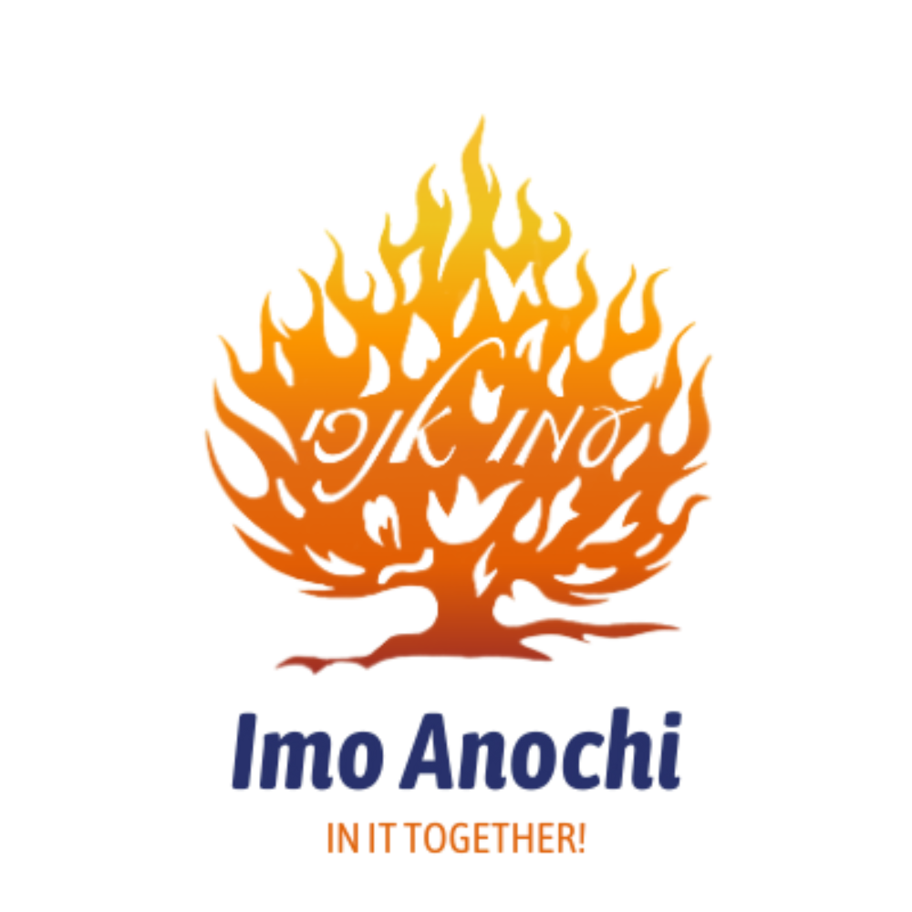 1 IMO ANOCHI - LOGO COLOR.png