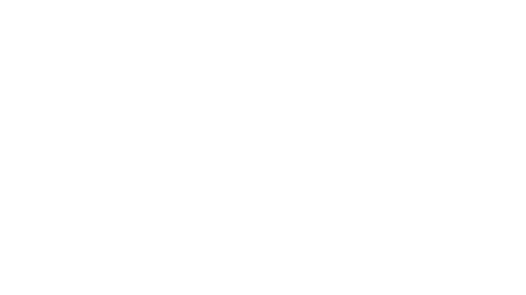 Logo | Limitless Insurance Solutions