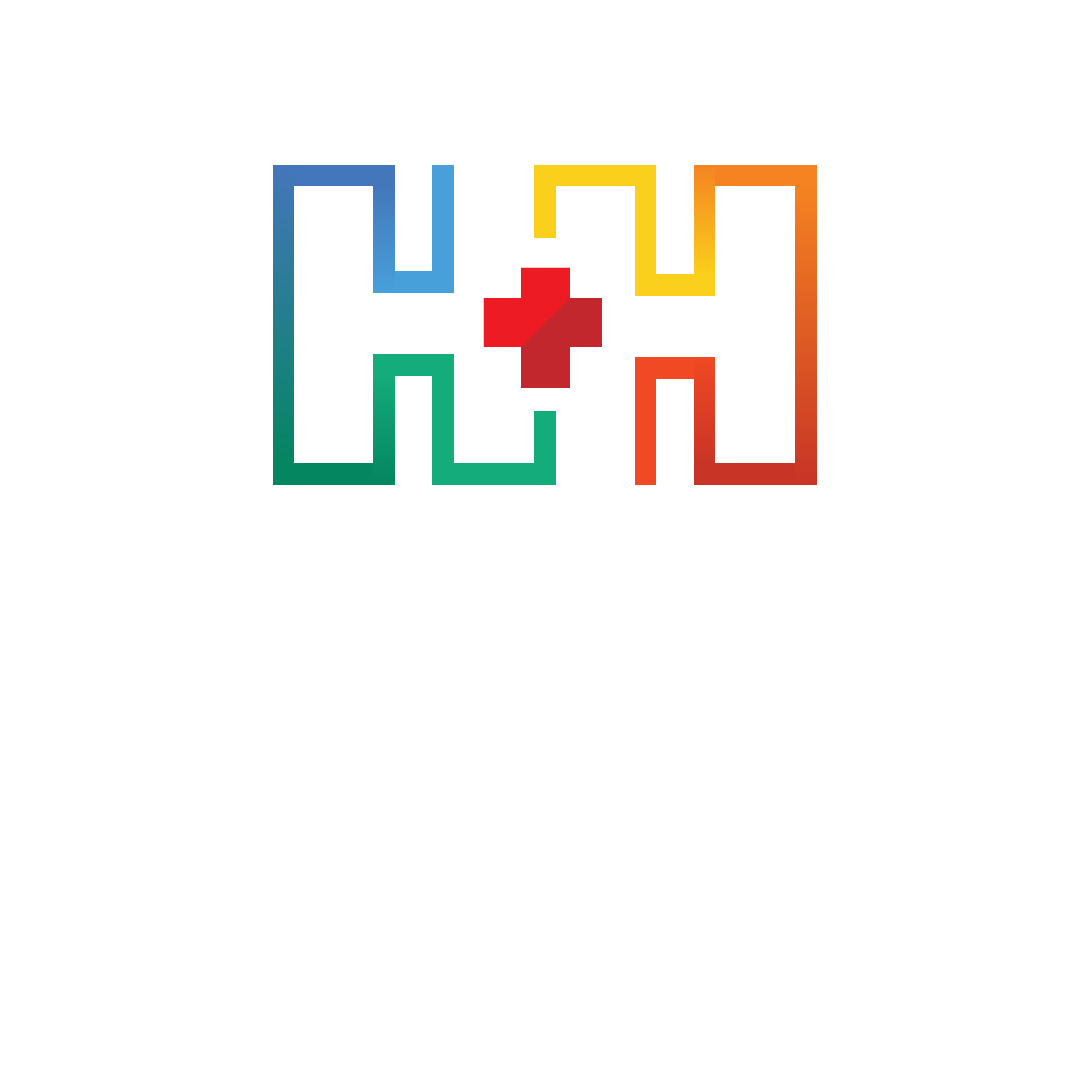 HEALTHCARE FOR HISPANICS - PNG_5.png