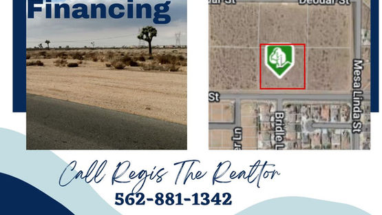 Eucalyptus St flyer.jpg